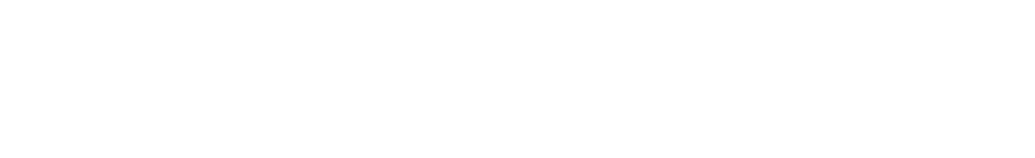 TwinMOS Logo